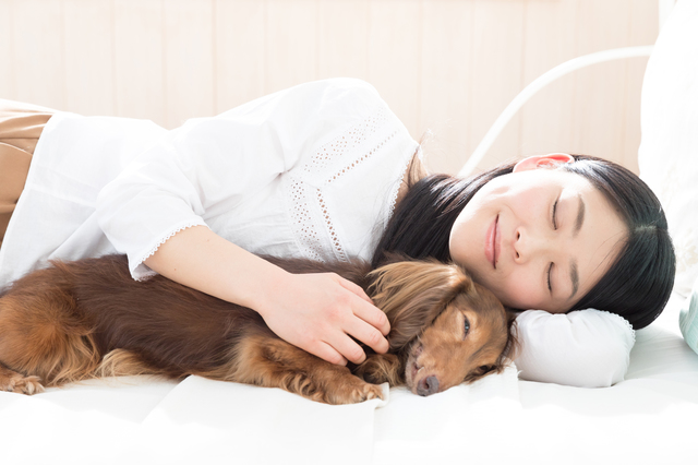 愛犬と一緒に寝るときに注意すべきこととは ペットの医学